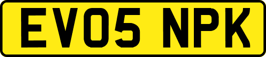 EV05NPK
