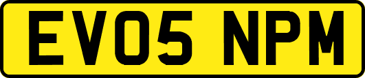 EV05NPM