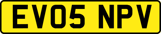 EV05NPV