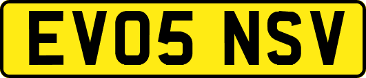EV05NSV