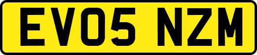EV05NZM