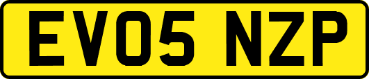 EV05NZP