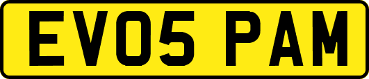 EV05PAM