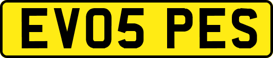 EV05PES