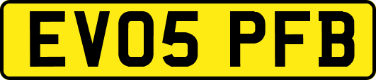 EV05PFB