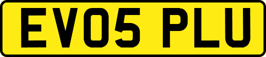 EV05PLU