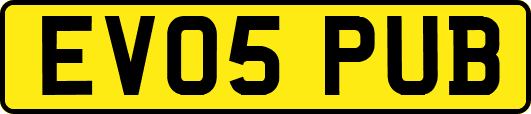 EV05PUB