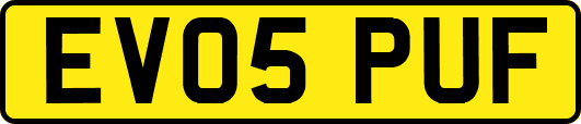 EV05PUF