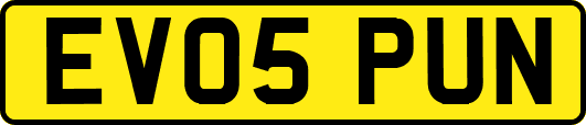 EV05PUN
