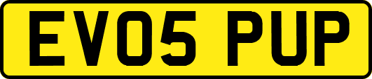 EV05PUP