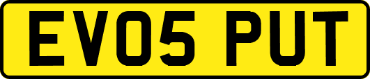 EV05PUT