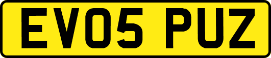 EV05PUZ