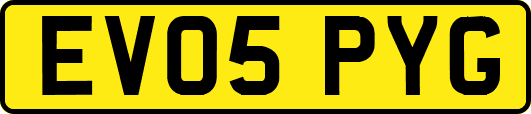 EV05PYG