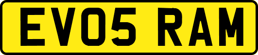 EV05RAM