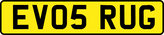 EV05RUG