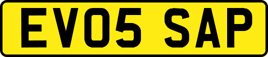 EV05SAP