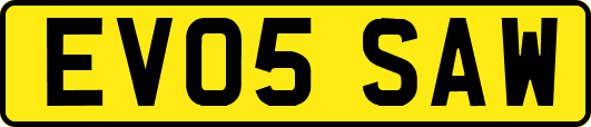 EV05SAW
