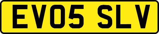EV05SLV