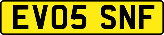 EV05SNF