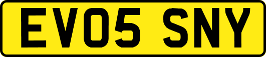 EV05SNY