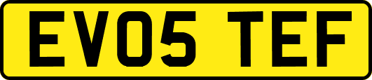 EV05TEF