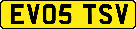 EV05TSV