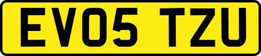 EV05TZU