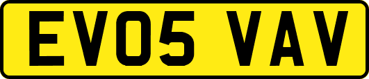 EV05VAV