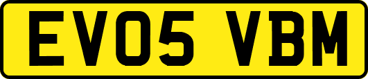 EV05VBM