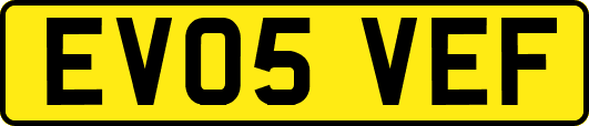 EV05VEF