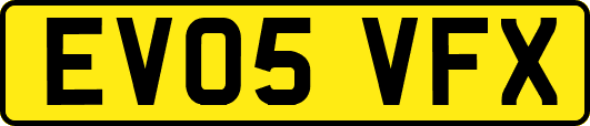 EV05VFX