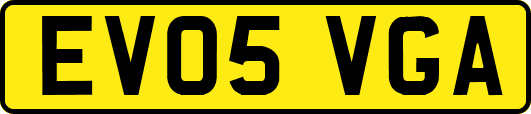 EV05VGA