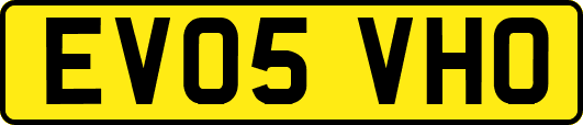 EV05VHO