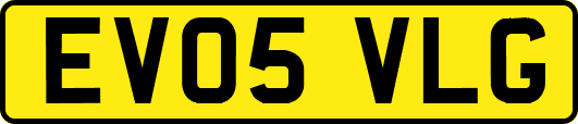 EV05VLG