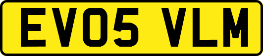 EV05VLM