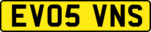 EV05VNS