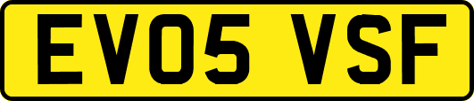 EV05VSF