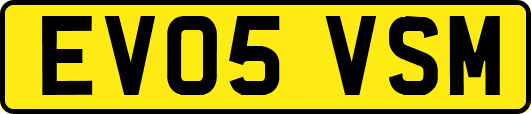 EV05VSM