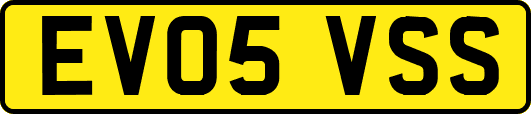 EV05VSS
