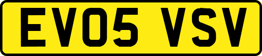 EV05VSV