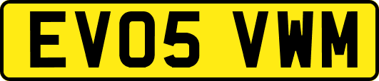 EV05VWM
