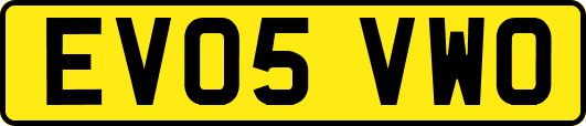 EV05VWO
