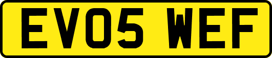 EV05WEF