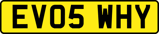 EV05WHY