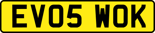 EV05WOK