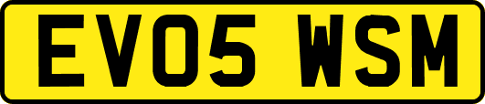 EV05WSM