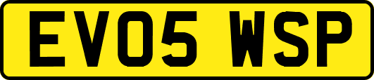 EV05WSP