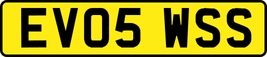 EV05WSS