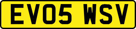 EV05WSV