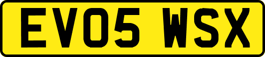 EV05WSX